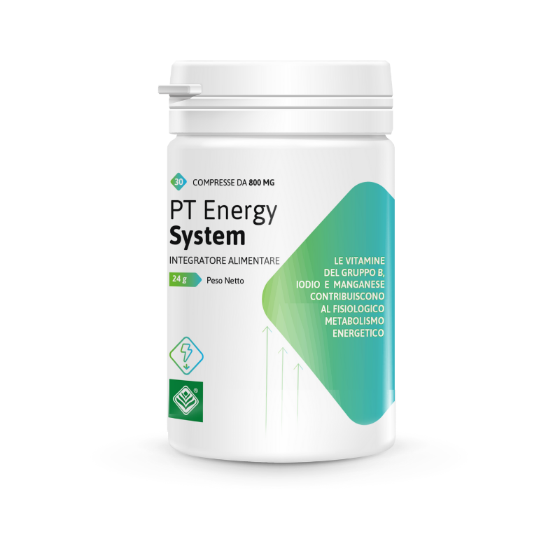 Pt Energy System