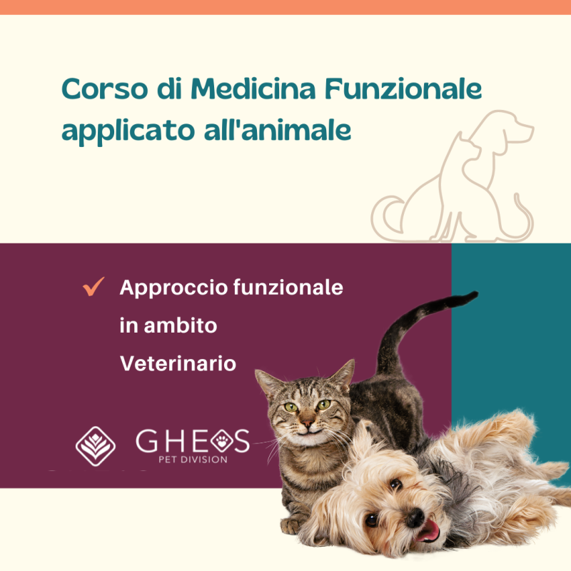 corso di medicina funzionale applicata all animale